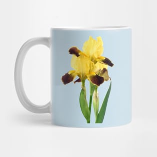 Bearded iris Mug